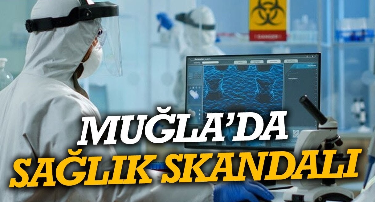 Önizleme